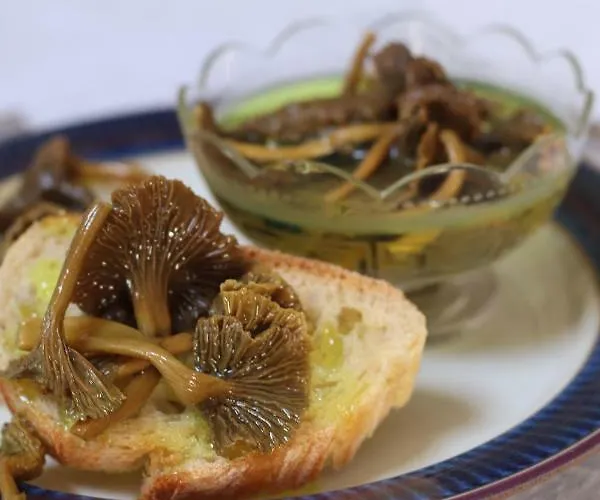 Le Chaton Rouge 4* Saint-Pierre-du-Lorouër